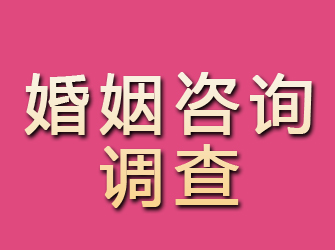 黎平婚姻咨询调查